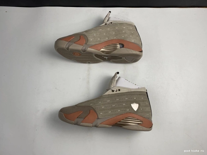 Retro Terra 14 Low Clot Blush Jordan DC9857-200 AIR 0821
